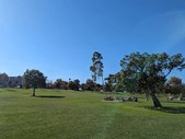 Enlarge photo 79