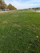 Enlarge photo 38