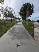 Enlarge photo 54