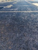 Enlarge photo 47