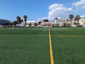 Enlarge photo 62