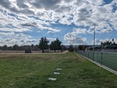 Enlarge photo 121