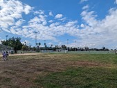 Enlarge photo 127