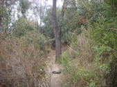 Enlarge photo 21