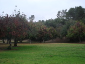Enlarge photo 25