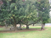 Enlarge photo 27