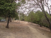 Enlarge photo 33