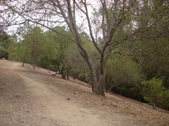 Enlarge photo 34