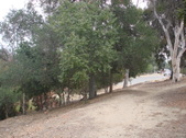 Enlarge photo 35