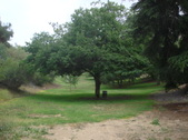 Enlarge photo 39