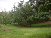 Enlarge photo 41