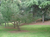 Enlarge photo 43