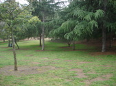 Enlarge photo 45