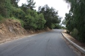 Enlarge photo 51