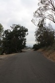Enlarge photo 53