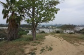 Enlarge photo 55