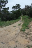 Enlarge photo 61