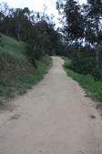Enlarge photo 68