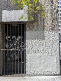 Enlarge photo 51