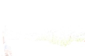 Enlarge photo 72