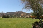 Enlarge photo 82