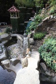 Enlarge photo 32