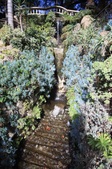 Enlarge photo 33