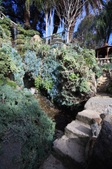 Enlarge photo 35
