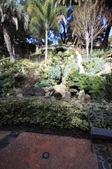 Enlarge photo 38