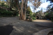Enlarge photo 40