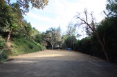 Enlarge photo 41