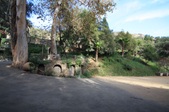 Enlarge photo 43