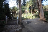 Enlarge photo 44