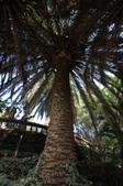 Enlarge photo 51