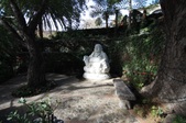 Enlarge photo 53