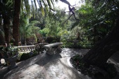 Enlarge photo 54