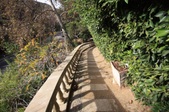Enlarge photo 55
