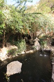 Enlarge photo 71