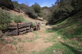 Enlarge photo 79