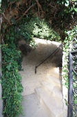 Enlarge photo 87