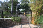 Enlarge photo 99