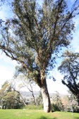 Enlarge photo 69