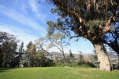 Enlarge photo 72