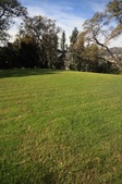 Enlarge photo 73