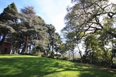 Enlarge photo 76