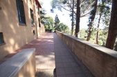Enlarge photo 81