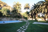 Enlarge photo 49