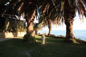 Enlarge photo 50
