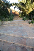 Enlarge photo 51