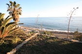 Ocean View 014